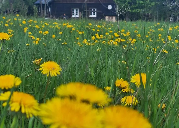 Farmház Cieslarowka Lubawka
